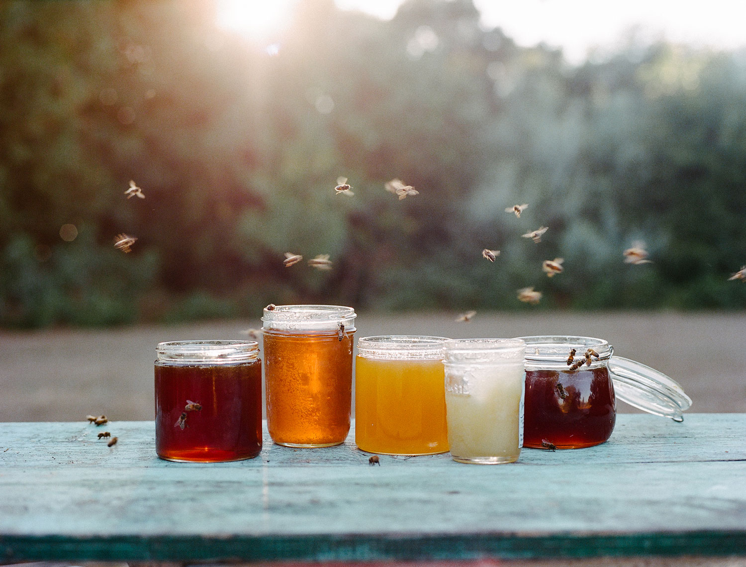 Local honeys in jars