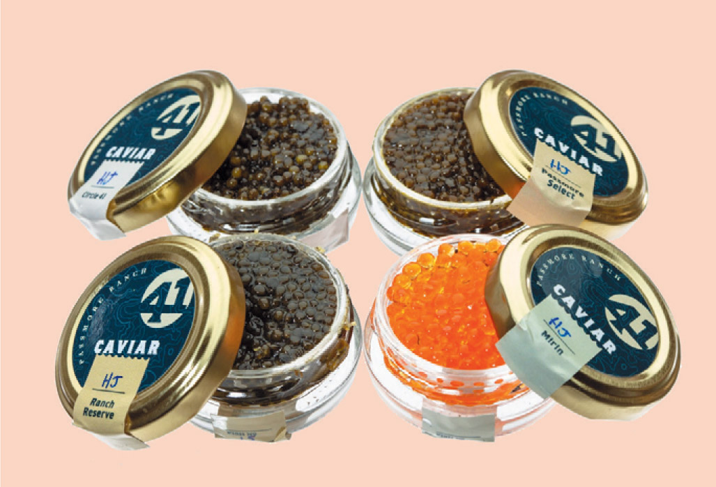 Caviar. Beautiful Plate for Caviar.