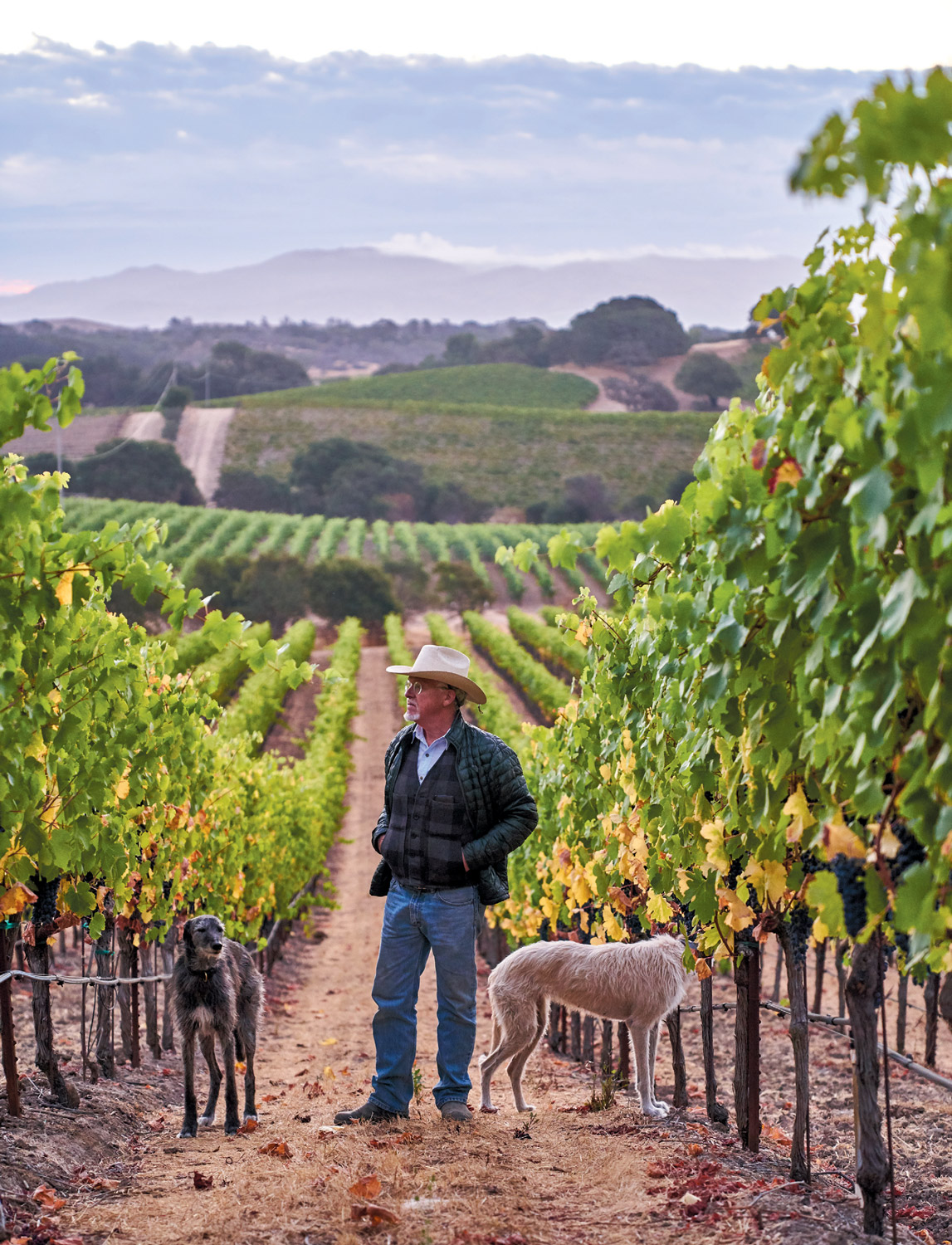 Hudson Ranch | Edible Marin & Wine Country