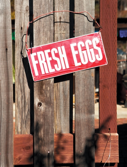 'Fresh Eggs' sign