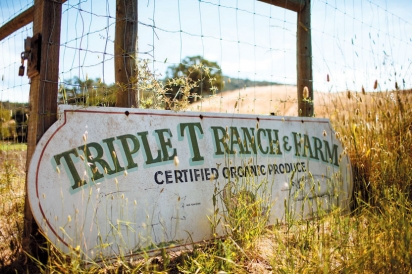 Triple T Ranch and Farm