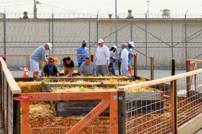 Inmates participate in Insight Garden Program