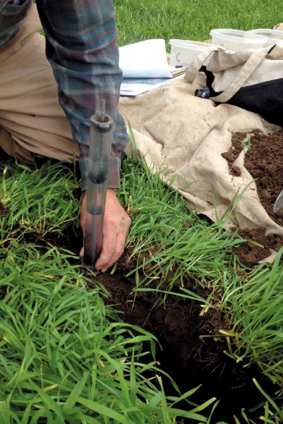 Testing The Soil