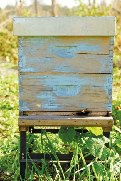 Beehive box commonly kept at vineyards