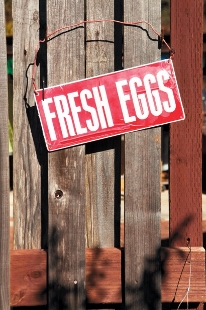 Fresh eggs sign