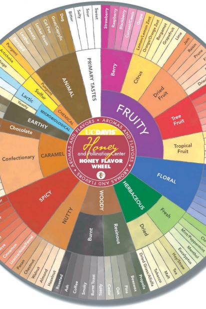 Honey Flavor Wheel