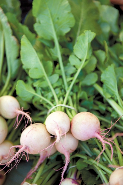 turnips at the farmers market