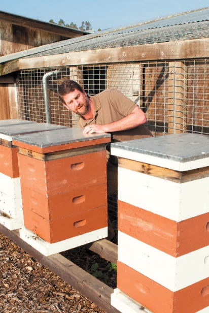 Beekeeper Brad Alpert