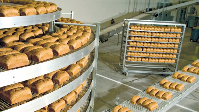Alvarado Street Bakery bread loaves