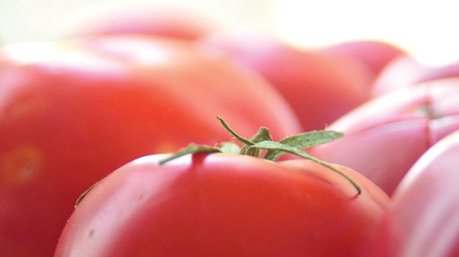 Fresh tomatoes from your garden or local farmers market