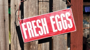 'Fresh Eggs' sign