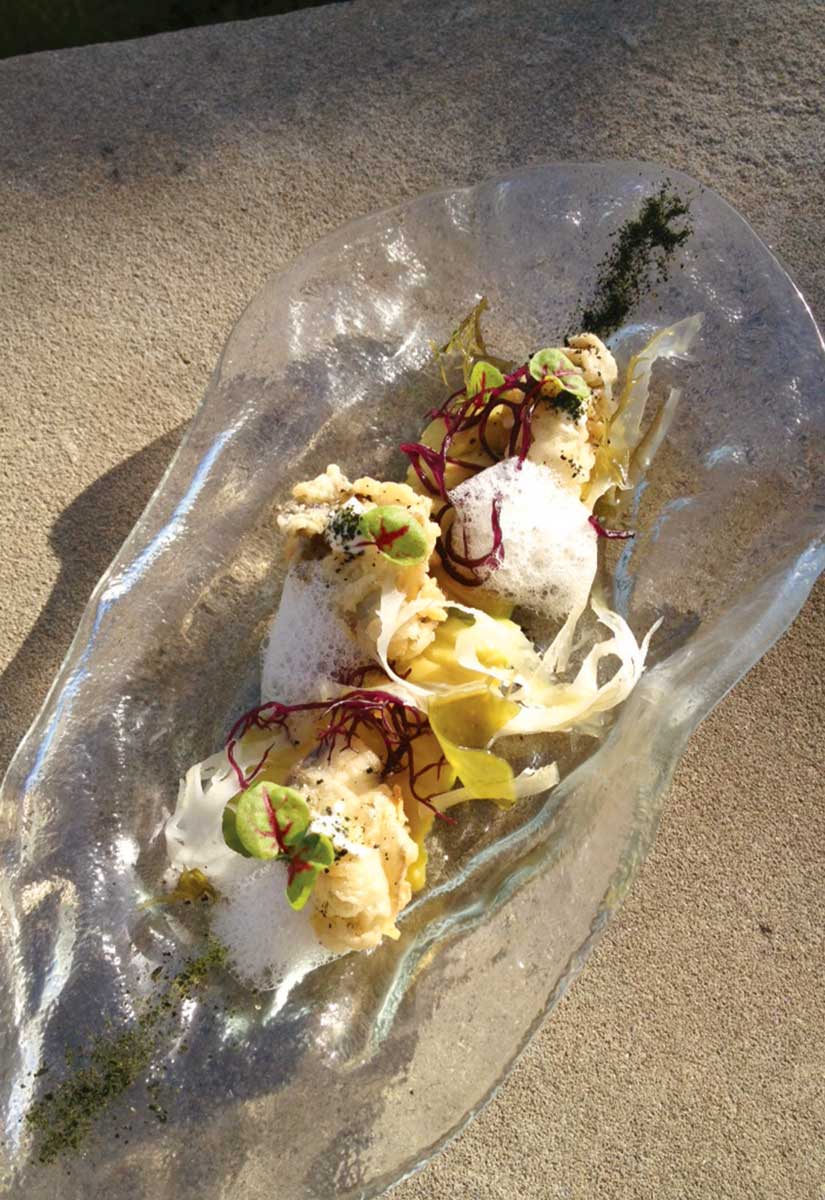 Crispy Hog Island Oysters, Citrus-Marinated Seaweed Salad and Avocado with Yuzu Aioli