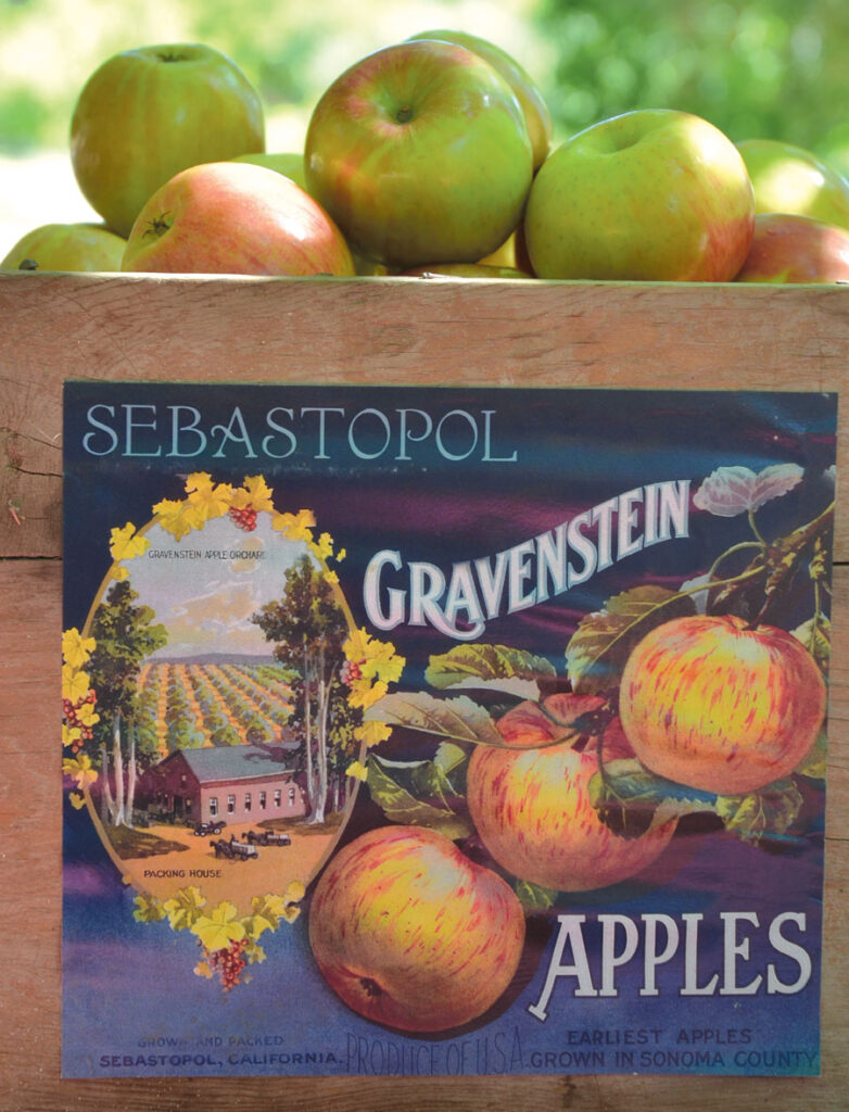 Sebastopol’s Community Apple Press