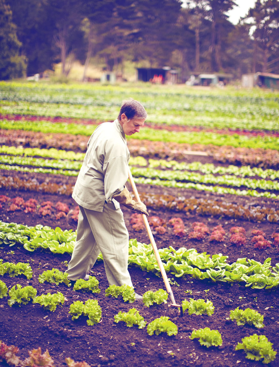 Green Gulch Farm Center