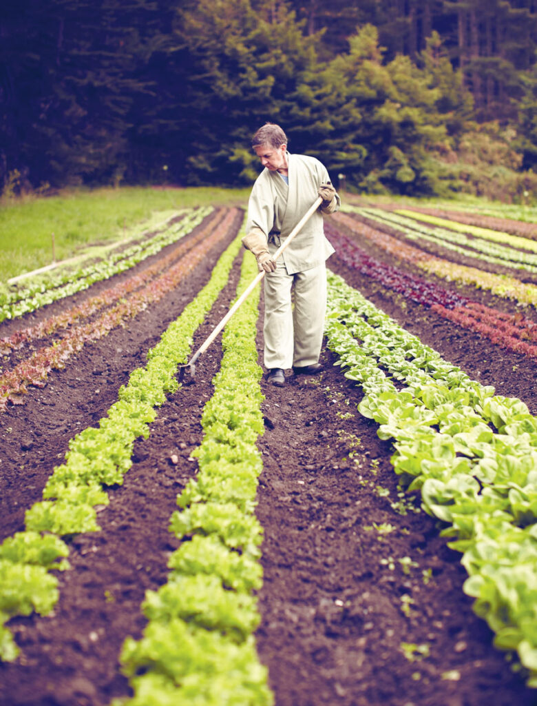 Abiding Abbess Linda Ruth Cutts at Green Gulch Zen Center