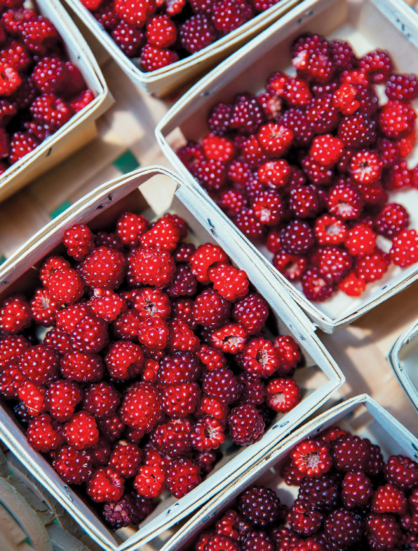 Berries grown at HomeFarm