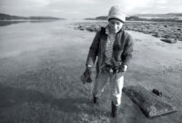 Boy harvesting oysters at Pickleweed Point