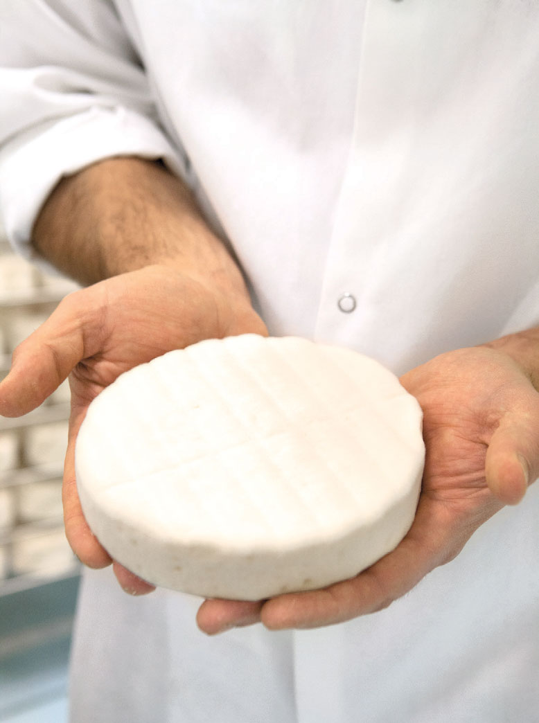 Holding Cheese