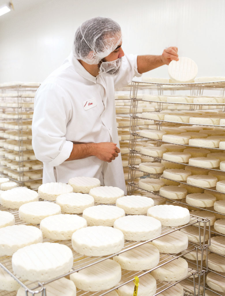 Marin French Cheese