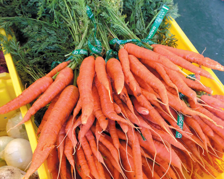 Organic carrots grown on the farm