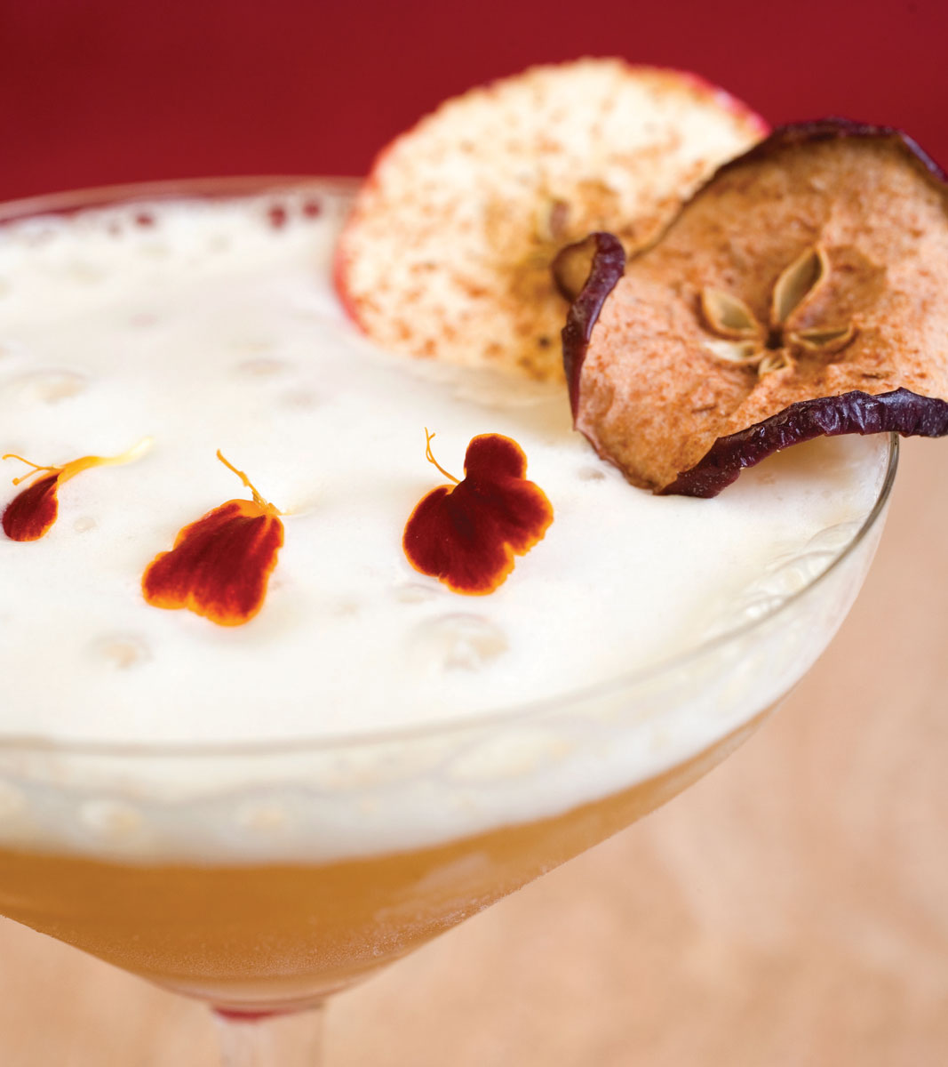 Autumn Apple Cocktail with dehydrated apples