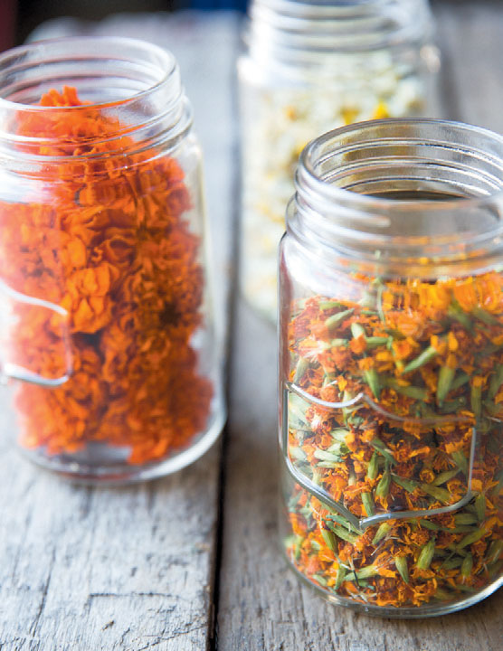 Dried edible flowers in jars