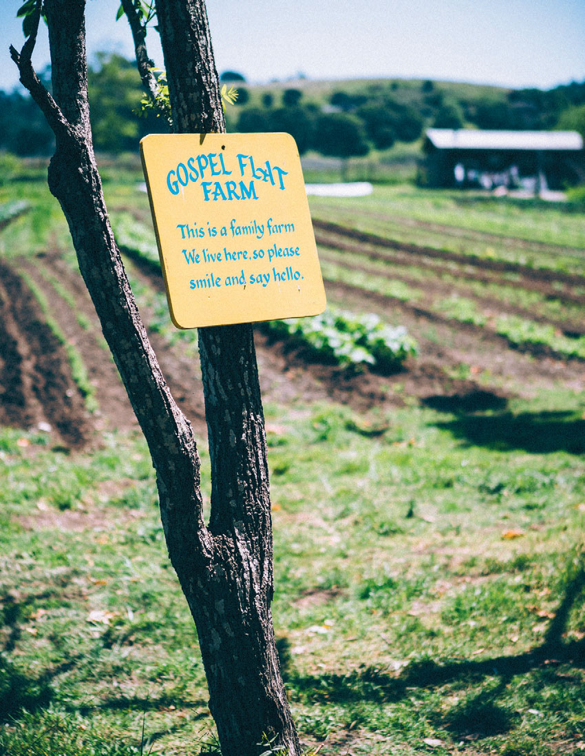 Gospel Flat Farm
