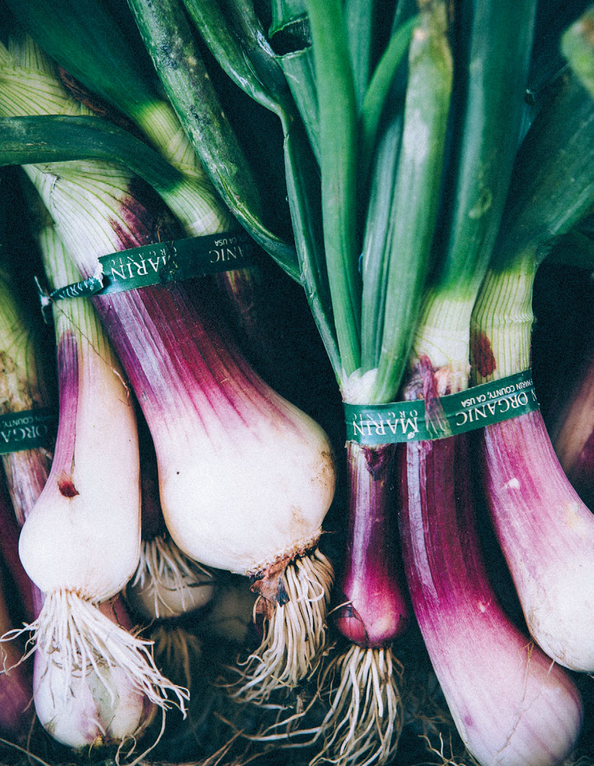 leeks farmsteads of CA