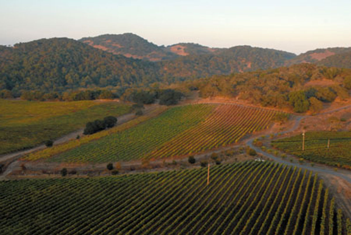 Vineyards at Hudson Ranch