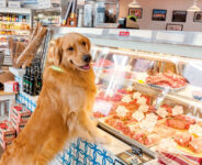 dont-forget-fido-1.jpg