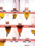 understanding-olive-oil-1.jpg