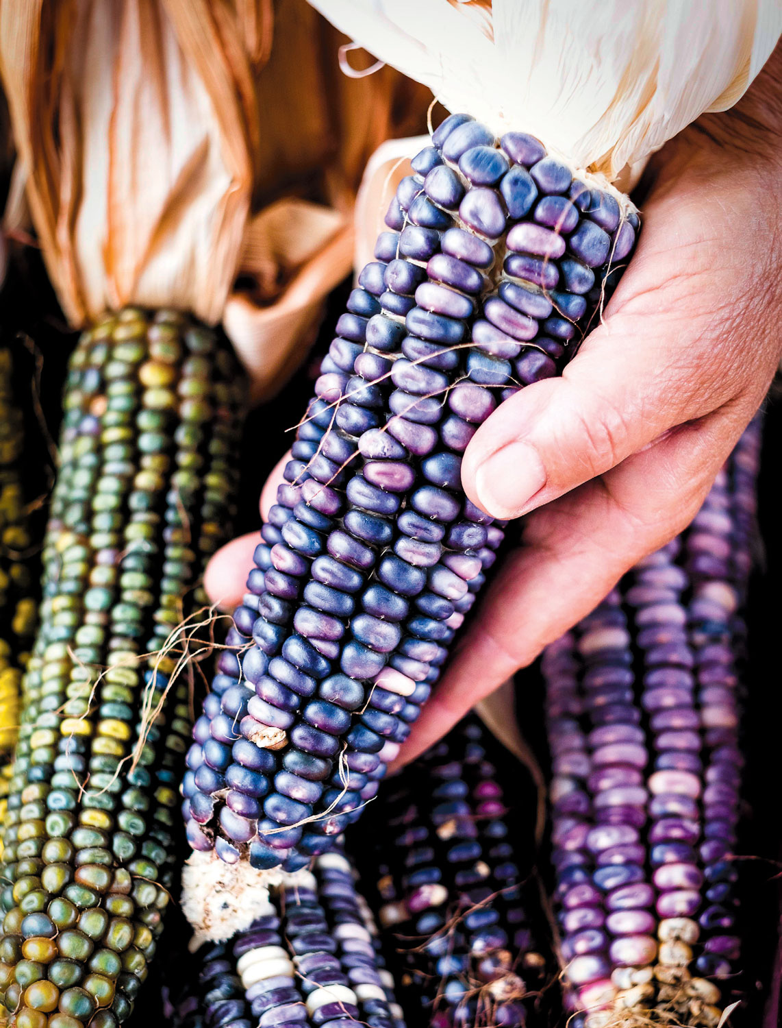 preserving-food-sovereignty-1.jpg