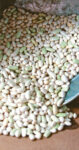 dried-beans-1.jpg
