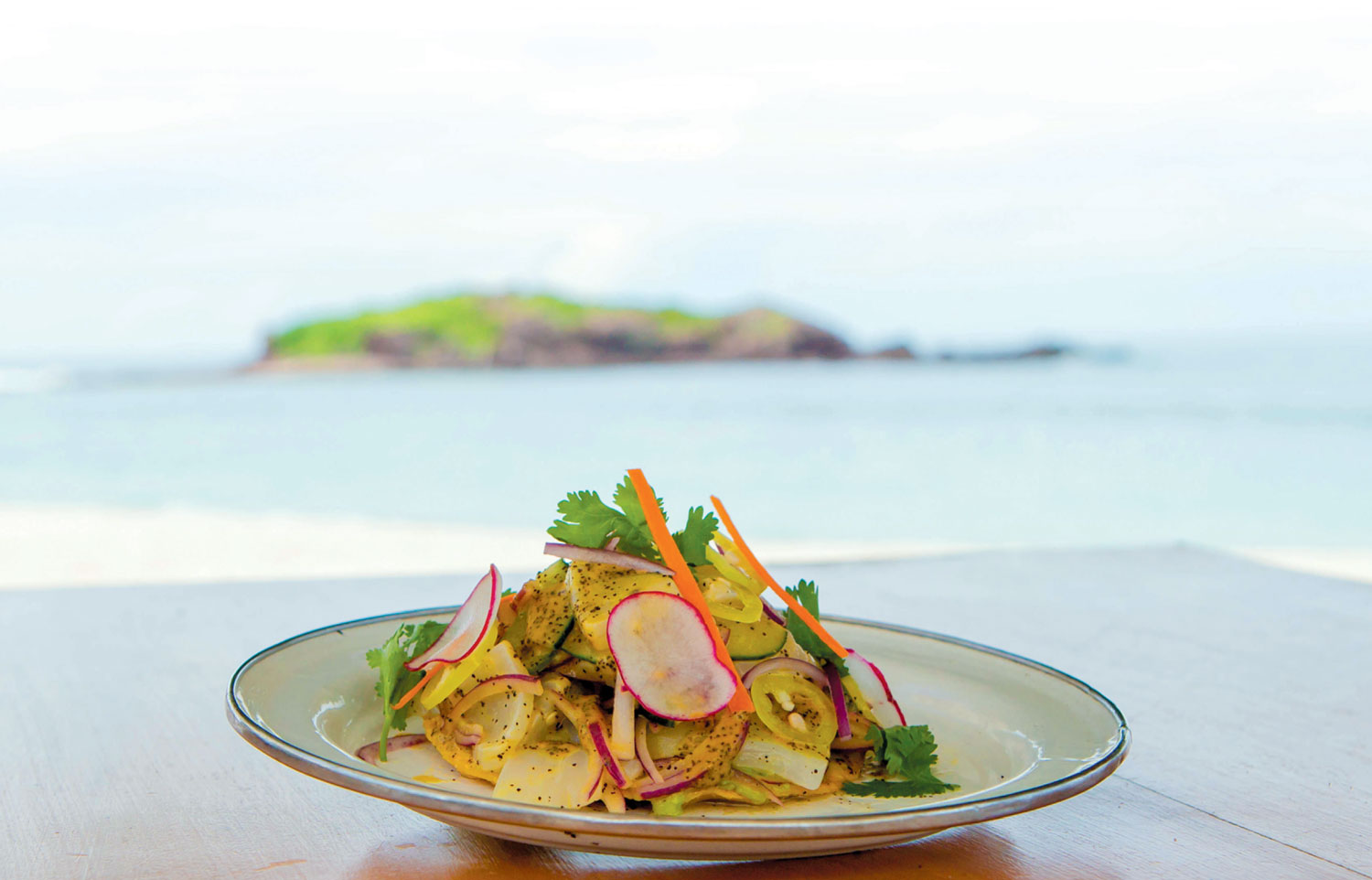 scallop-ceviche-1.jpg