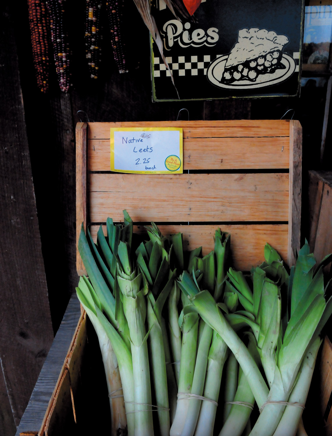 leeks-001.jpg