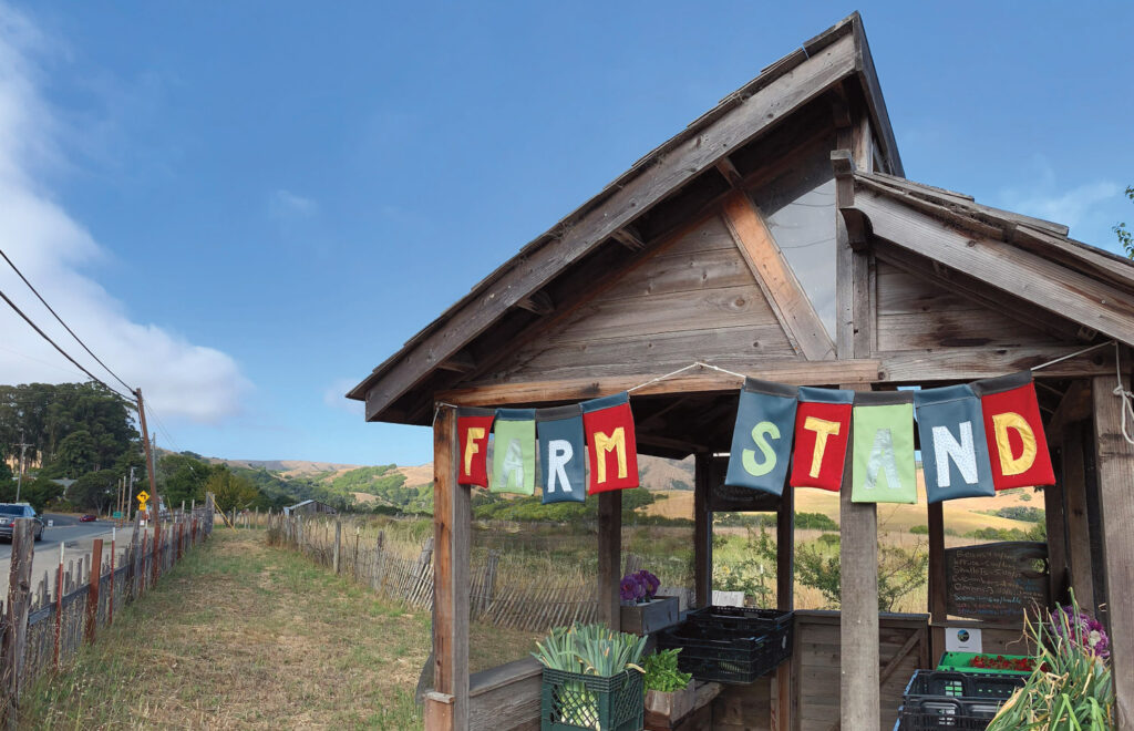 in-farms-we-1.jpg