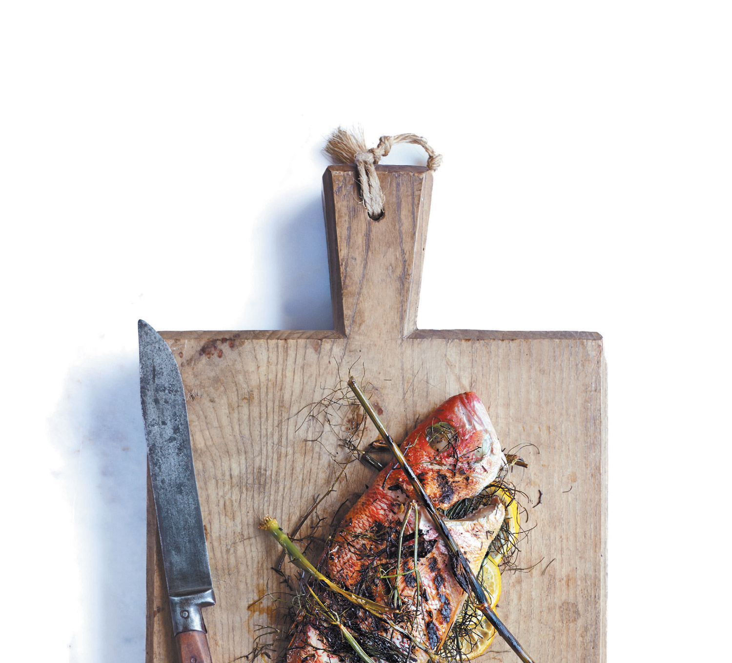 wild-fennel-1.jpg