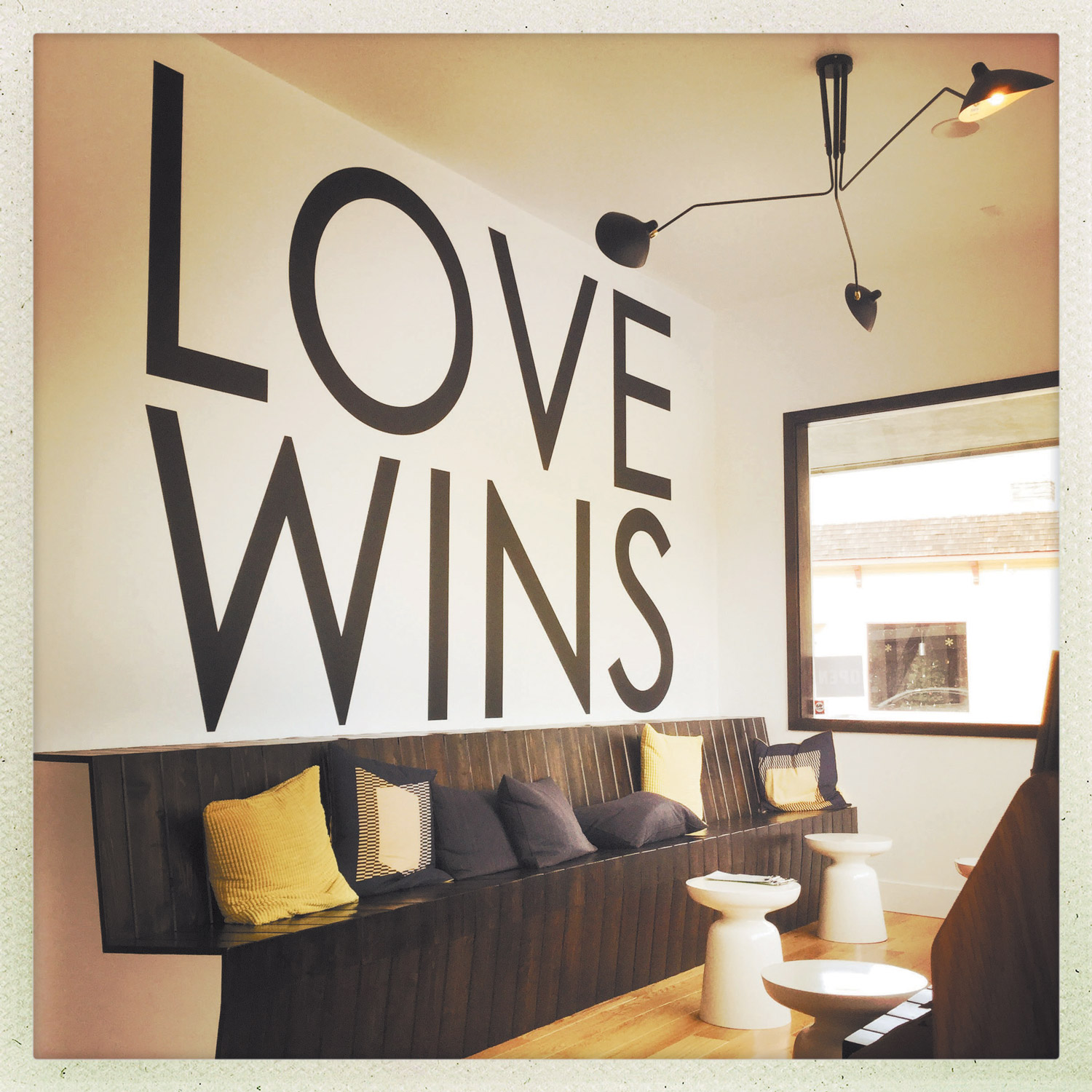 equality-vines-1.jpg