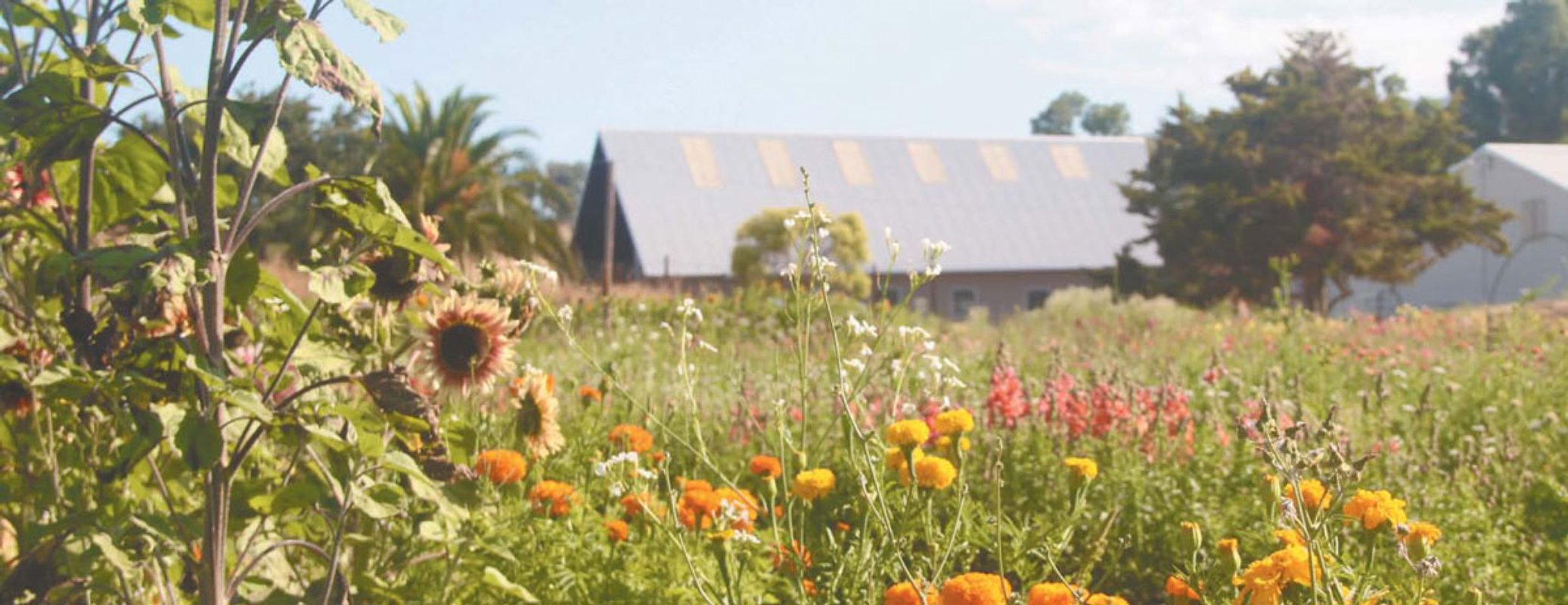 cassidy-ranch-1.jpg
