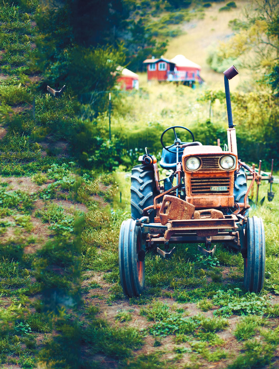 farm-tractor-cavan-clark-Fall-2013.jpg