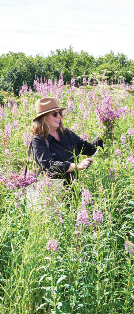 forage-gather.jpg
